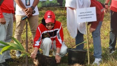 Disbunnak Peringati Harjad Ke-75 Kalsel dan HUT Ke-80 RI dengan Semangat Peduli Lingkungan