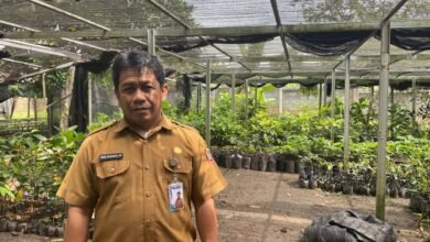 BBTPH Kalsel Perkuat Ketahanan Pangan Melalui Produksi Benih Sumber Berkualitas