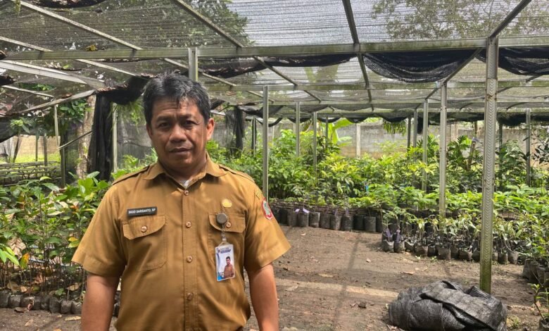 BBTPH Kalsel Perkuat Ketahanan Pangan Melalui Produksi Benih Sumber Berkualitas