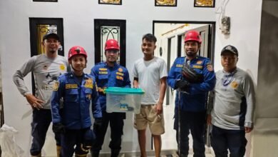 Satpol PP Damkar Provinsi Kalsel Tunjukkan Kesigapan Layani Masyarakat dalam Evakuasi Ular Cobra