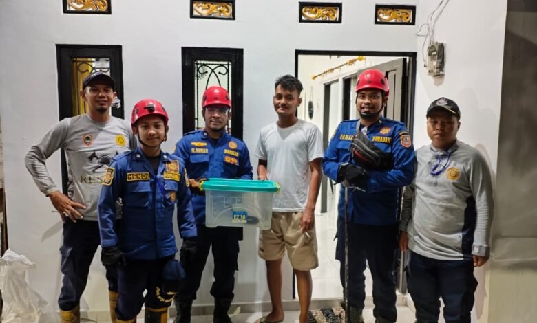 Satpol PP Damkar Provinsi Kalsel Tunjukkan Kesigapan Layani Masyarakat dalam Evakuasi Ular Cobra