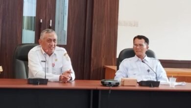 Pemprov Kalsel Dorong Optimalisasi Pendataan UMKM Melalui SIDT