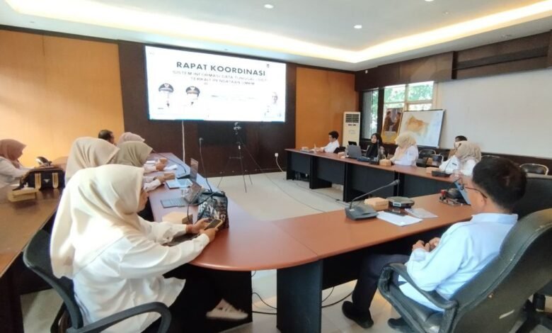 Pemprov Kalsel Dorong Digitalisasi UMKM Lewat Sistem “SAPA UMKM”