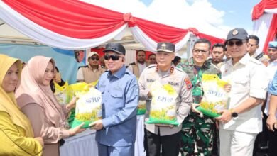 Panen Raya Jagung Polda Kalsel, Langkah Awal Menuju Swasembada Pangan 2025
