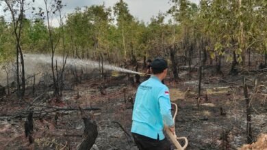 Status Darurat Karhutla Berakhir di 30 September, Dinsos Kalsel Pastikan Kesiapsiagaan Tetap Dilakukan
