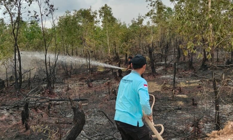 Status Darurat Karhutla Berakhir di 30 September, Dinsos Kalsel Pastikan Kesiapsiagaan Tetap Dilakukan