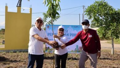 Sambut Hari Habitat dan Hari Kota Sedunia 2025, Pemprov Kalsel Gelar Aksi Penanaman Pohon