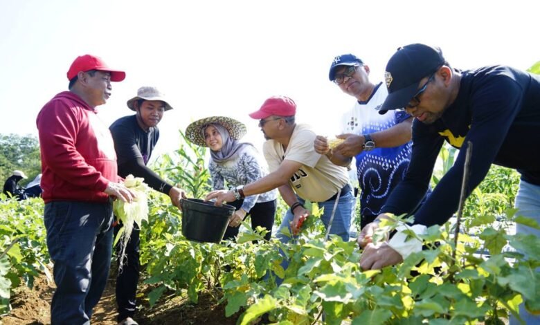 Panen Perdana Bukit Merangkul, DPKP Kalsel Gaungkan Semangat Ketahanan Pangan