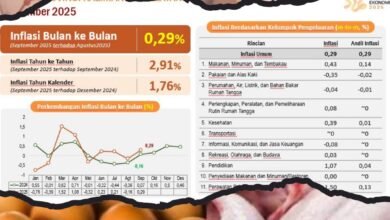 September 2025, Kalsel Surplus Daging dan Telur Ayam Ras