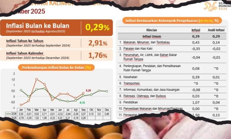 September 2025, Kalsel Surplus Daging dan Telur Ayam Ras