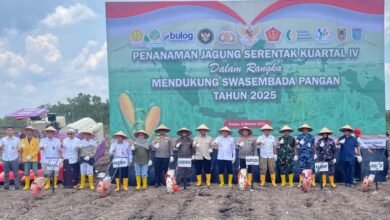 Gubernur Kalsel Dukung Penuh Penanaman Jagung Serentak Dorong Swasembada Pangan