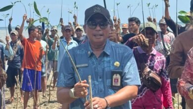 DKP Kalsel Perkenalkan Program Rehabilitasi Pesisir Metode Hybrid Engineering