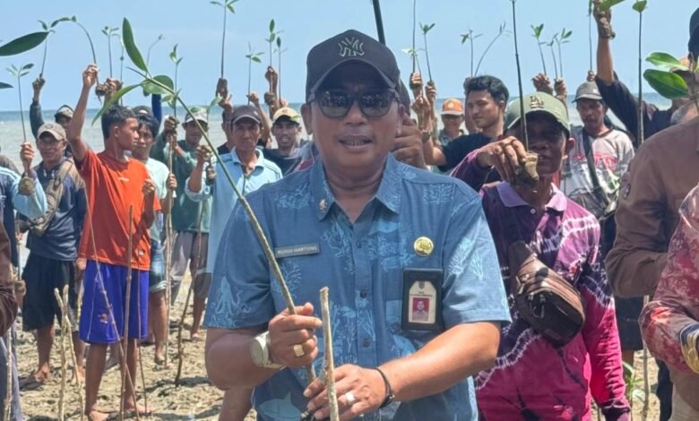 DKP Kalsel Perkenalkan Program Rehabilitasi Pesisir Metode Hybrid Engineering