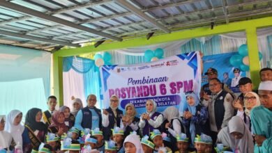 Ketua TP Posyandu Kalsel Lakukan Pembinaan Posyandu 6 SPM di Desa Mandiangin Barat