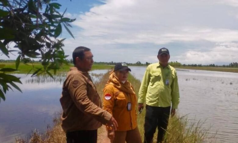 BPTPH Kalsel Gerak Cepat Bantu Petani Banjarbaru Hadapi Dampak Cuaca Ekstrem