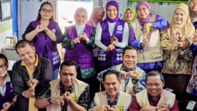 Inovasi Promosi SPM Posyandu Kalsel Tuai Apresiasi dari TP Posyandu Pusat