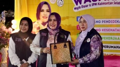 Perkuat Pelayanan Dasar, TP Posyandu Kalsel Tekankan Implementasi 6 SPM di Tapin