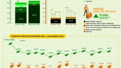 BPS Rilis Ekspor Barang Asal Kalsel Capai US$931,79 juta Pada November 2025