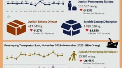 BPS Rilis Jumlah Penumpang Selama Bulan November 2025 Melalui Bandara Sebesar 126.829 orang 