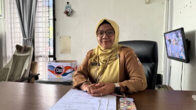 UPTD Instalasi Farmasi Dinas Kesehatan Kalsel Siapkan Program Strategis di Tahun 2026
