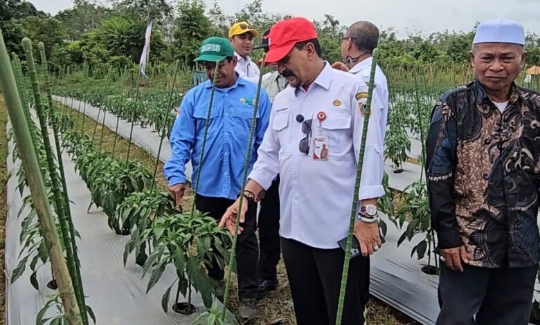 Gerakan Tanam Cabai dan Bawang Merah, Kalsel Perkuat Stabilitas Pangan dan Kendali Inflasi