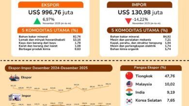 Awal Tahun 2026 Naik 6,97 Persen, BPS Kalsel Rilis Ekspor Barang Asal Kalsel Capai US$996,76 juta