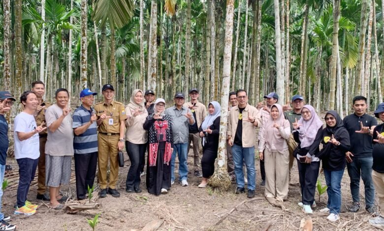 Perkuat Program BioCF, Dishut Kalsel Pelajari Pinang Betara Varietas Unggul Nasional