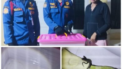 Satpol PP dan Damkar Kalsel Catat Peningkatan Penanganan Kebakaran dan Penyelamatan 2025