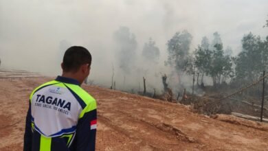 Masuk Musim Kemarau, Dinsos Kalsel Perkuat Kesiapsiagaan Karhutla