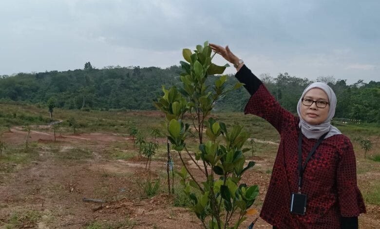 Program REDD+ Kalsel Tunjukkan Hasil Positif, Kadishut Lakukan Monitoring