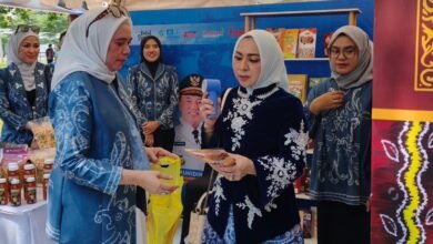 Madu Hutan dan Boneka Bekantan Jadi Primadona di Pameran TMII