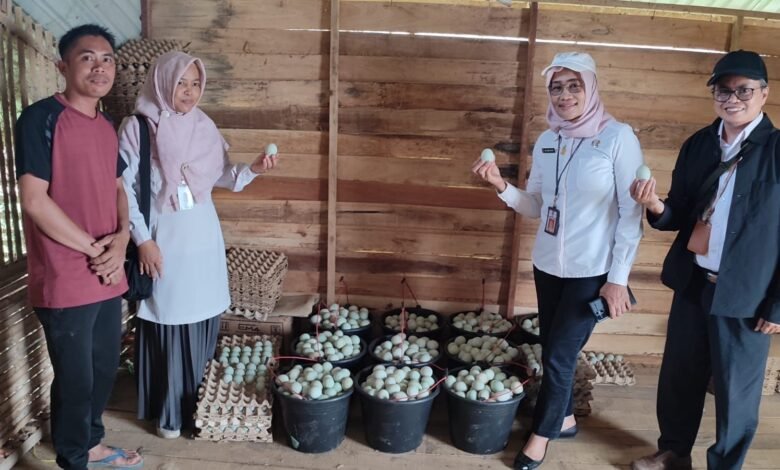 Gencarkan Pengembangan Itik Melalui Inovasi SITI HAWA LARI, Kalsel Perkuat Ketahanan Pangan