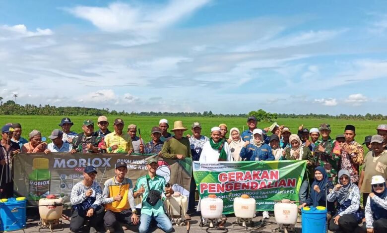 Antisipasi Kemarau 2026, BPTPH Kalsel Perkuat Pengendalian Hama dan Irigasi