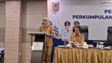 Pemprov Kalsel Perkuat Peran P3A untuk Optimalkan Pengelolaan Irigasi