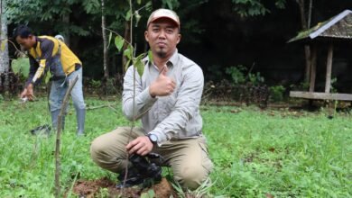 Kebun Raya Banua Kembangkan Riset Tumbuhan Obat Berbasis Pengetahuan Lokal