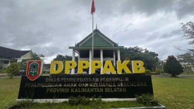 Tingkatkan Kesadaran Masyarakat, DP3AKB Kalsel Tekankan Pencegahan Stunting Dimulai Sebelum Hamil