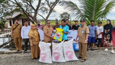Dislautkan Kalsel Serahkan Bantuan Hibah Sarana Budidaya Ikan Gabus ke Pokdakan Semangat Tarati