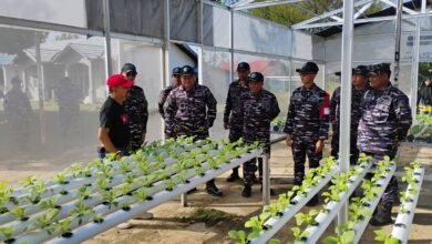 Perkuat Ketahanan Pangan, TNI AL Bersama DPKP Kalsel Kembangkan Pertanian Terpadu
