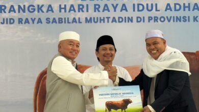 Gubernur Kalsel Serahkan Bantuan Kemasyarakatan Presiden RI Berupa Satu Ekor Sapi ke Masjid Raya Sabilal Muhtadin