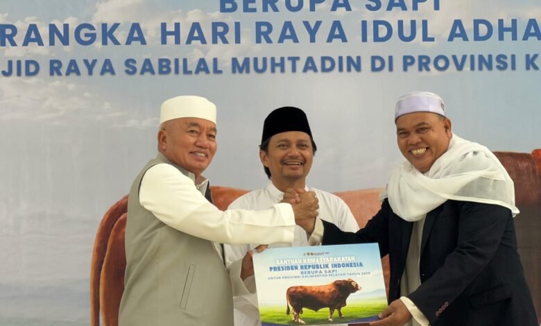 Gubernur Kalsel Serahkan Bantuan Kemasyarakatan Presiden RI Berupa Satu Ekor Sapi ke Masjid Raya Sabilal Muhtadin