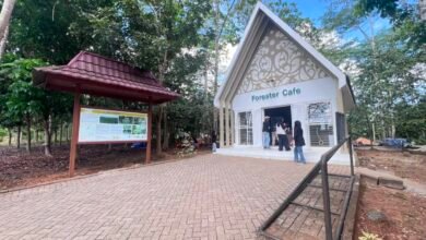 Pemprov Kalsel Resmikan Kafe Forester 3, Dorong Optimalisasi Aset dan Peningkatan PAD