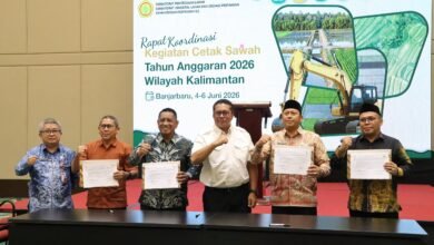 Kalsel Dukung Penuh Program Cetak Sawah 2026, Siap Perkuat Ketahanan Pangan Nasional