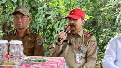 Panen Padi di HSS, Kadis Pertanian Kalsel Sebut Produktivitas Capai 5,5 Ton per Hektare