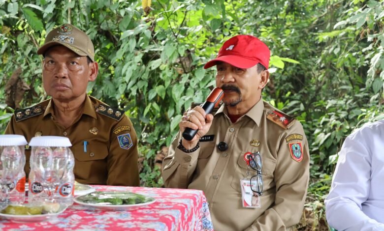 Panen Padi di HSS, Kadis Pertanian Kalsel Sebut Produktivitas Capai 5,5 Ton per Hektare