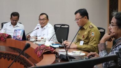Pemprov Kalsel Dukung Pengembangan Perdagangan Karbon sebagai Sumber Pertumbuhan Ekonomi Baru
