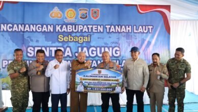 Gubernur Kalsel Canangkan Tanah Laut sebagai Sentra Jagung Kalsel, Perkuat Swasembada Pangan Nasional