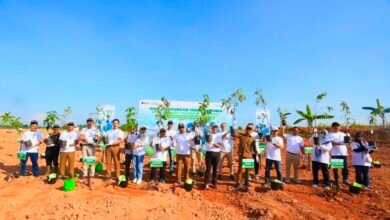 Pelindo Tanam 2.500 Pohon di Banjarmasin, Dukung Udara Lebih Bersih dan Lingkungan Sehat untuk Masyarakat