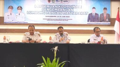 Pemprov Kalsel Optimalkan Lumbung Pangan untuk Jaga Ketersediaan Beras di Daerah