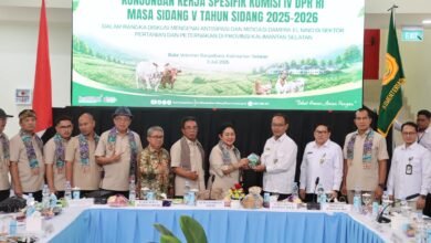 Komisi IV DPR RI Tekankan Langkah Mitigasi Antisipasi El Nino, Kalsel Perkuat Ketahanan Pertanian dan Peternakan