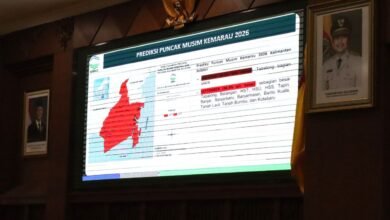 BMKG: Puncak Musim Kemarau Kalsel Diperkirakan Terjadi Agustus–September, Risiko Karhutla Meningkat